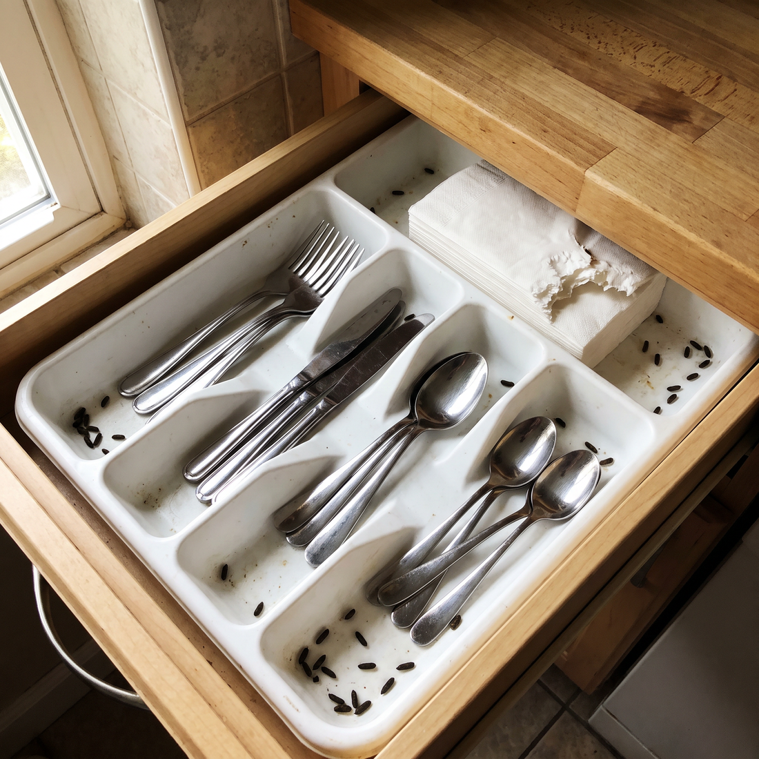 The silverware drawer is one of the first places people find them.