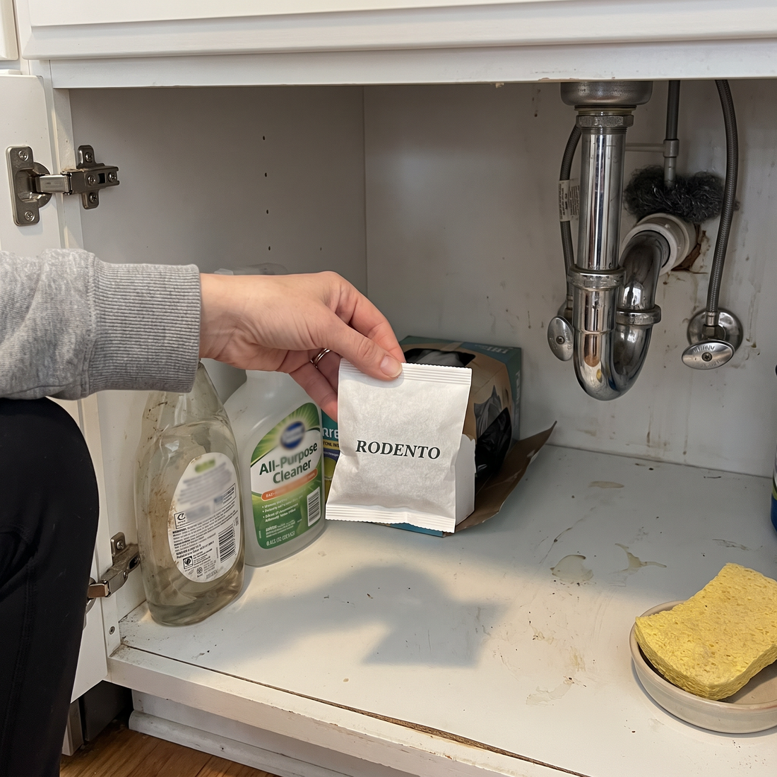 Under the sink is the #1 spot. Tuck one in the back corner by the pipes.
